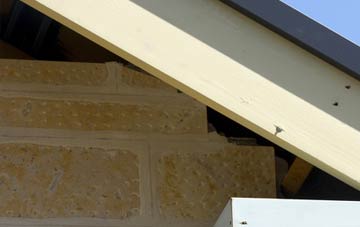 soffit repair Snowdown