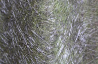 Snowdown fibreglass roof work